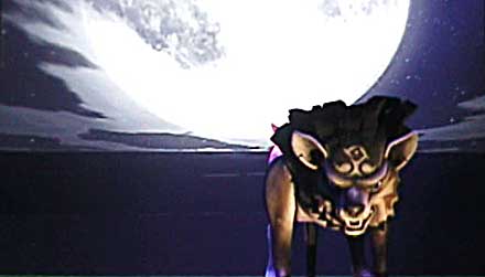 Shot Of The Day 8